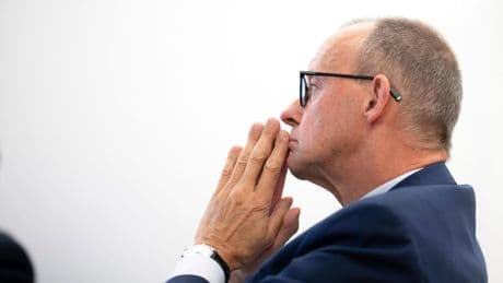 Neuer Kanzler: Friedrich Merz, die AfD und die Verbotsfrage