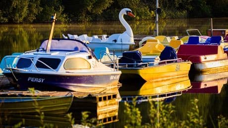 Hitze nimmt weiter zu - Wetterdienst erwartet bis zu 38 Grad