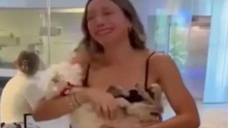 'Dead' dog returns to shocked family four years after mystery disappearance