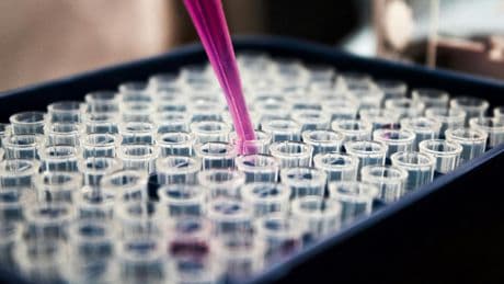 Alertan de que se está extendiendo un gen que hace indestructibles a las bacterias más peligrosas