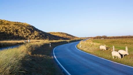 In der 50er-Zone - Sylt-Raser mit 252 km/h entwischt Strafe