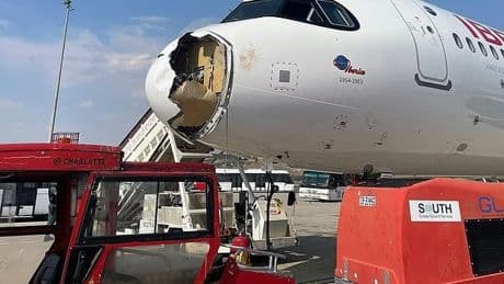 Notlandung wegen Geier! - Nase von Iberia-Flieger kurz nach dem Start zertrümmert