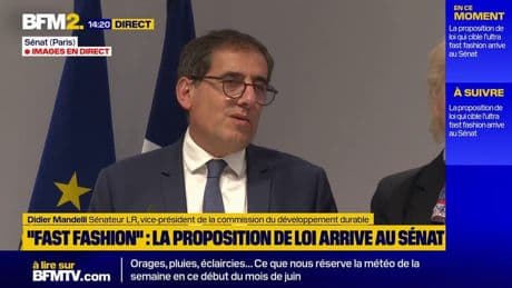 Fast fashion/lobbying de Shein: "nous ne sommes pas influençables", répond le sénateur LR Didier Mandelli