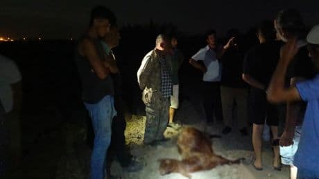 Hatay'da korkunç olay! Sanayi bölgesinden geçen dereden su içtikten kısa süre sonra öldüler