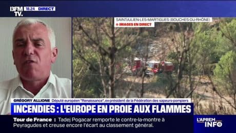 Vagues d'incendies: "Il faut des moyens massifs (...) et coordonnés" en Europe, estime Grégory Allione (Renaissance)