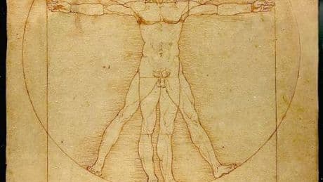 Leonardo e il triangolo della mandibola: scoperta o ennesima proiezione a posteriori?