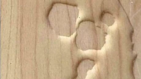 People struggle to understand what's really happening in 'genius' optical illusion