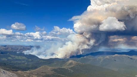 Feuer in Kanada außer Kontrolle - 200 Waldbrände treiben Tausende in die Flucht