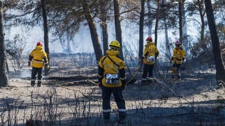 DIRECT. Incendies: le feu "pas encore fixé" et plus de 400 personnes évacuées à Marseille, 2.000 hectares brûlés à Narbonne