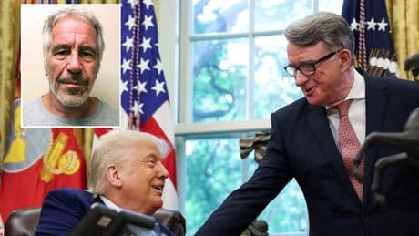 Notes from Trump and Mandelson among alleged messages in Epstein 'birthday book'