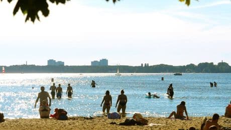 Müggelsee in Berlin: Kurioses Blubbern – Panne steckt dahinter