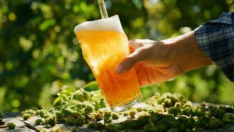 Pils, Pilsner, Pilsener  - Das steckt hinter Pils, Lager & Co.