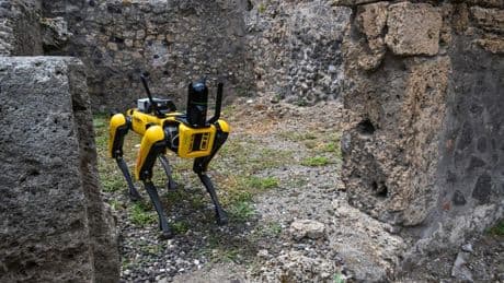 Boston Dynamics And Unitree Are Innovating Four-Legged Robots Rapidly