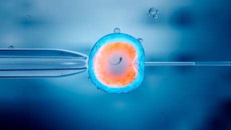 Des chercheurs annoncent officiellement la naissance de bébés issus de trois ADN différents