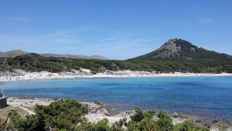 British tourist killed in Majorca after falling off 16ft wall