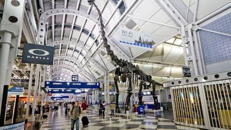 Chicago airport panic as passenger diagnosed with world's most infectious disease