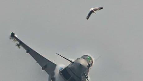 Kollision bei Luftfahrtshow - Trifft ’ne Möwe einen Eurofighter …