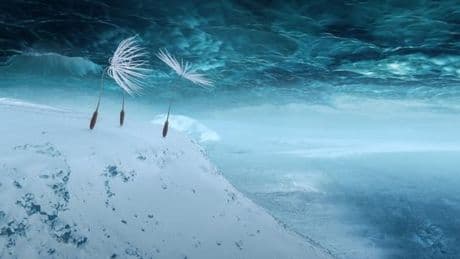 Au Festival de Cannes 2025, les belles couleurs de l’animation avec « Arco » et « Planètes »