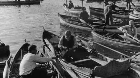 Ara Güler Müzesi'nden yeni sergi: 'Gerçek En İyi Fotoğraftır'