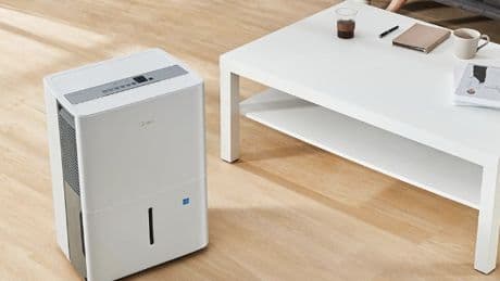 Mold and mildew: What they are—and smart ways to stop them