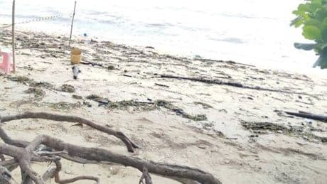 British woman found dead on Thai beach after swimming following night of drinking