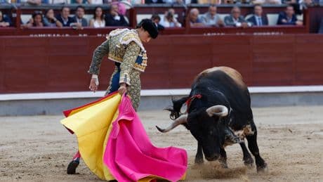 Glorioso y cruel destino para el mejor 'Comisario' de Mayalde