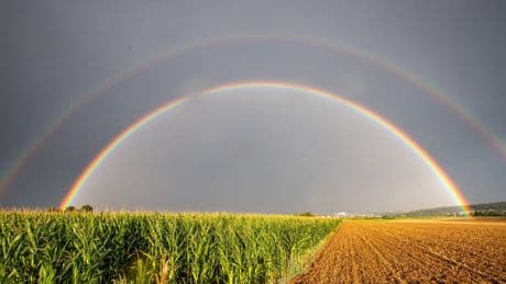 Wetter-Prognosen im August: In Deutschland wird es explosiv
