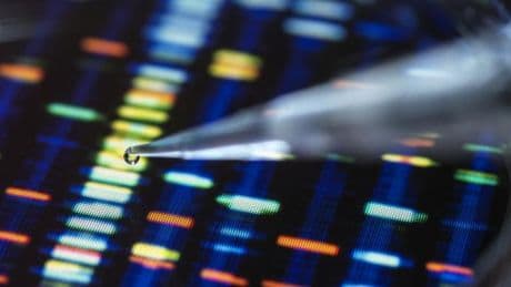 Verwandte finden per DNA-Abgleich? Wo die Online-Portale an ihre Grenzen stoßen