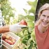 Hoe zorg je dat je fruitboom niet bezwijkt onder te rijke oogst? “Begin met één op de twee vruchten weg te halen”