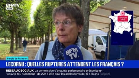 "Au niveau des impôts, que tout le monde paye à hauteur de ce qu'il a": qu'attendent les Français de Sébastien Lecornu?