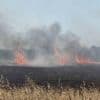 En pleine moisson, un feu ravage un champ dans les Côtes-d’Armor : l’incendie est toujours en cours
