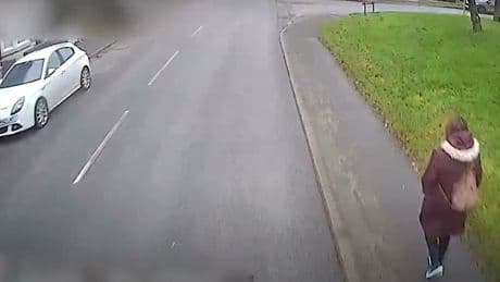 Moment truck driver sends OAP flying after smashing into her while he was distracted by sat-nav