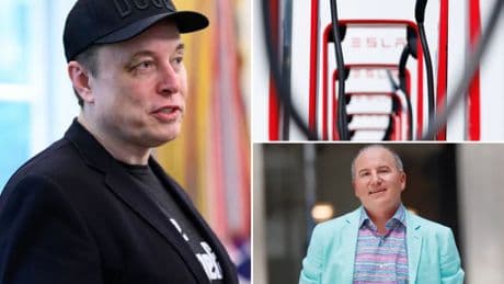 Tesla’s board of directors urged to ‘act now’ and rein in Elon Musk after vow to form America Party
