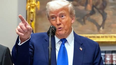 USA starten „Umsiedlungsprogramm“ - Trump gibt weißen Südafrikanern Asyl
