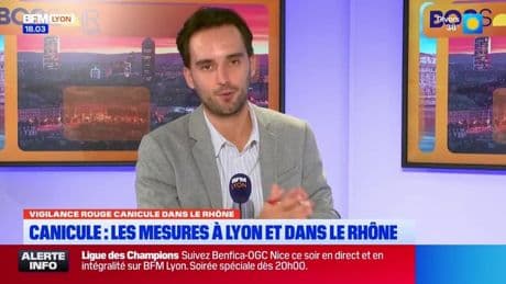 Canicule : les mesures à Lyon et dans le Rhône