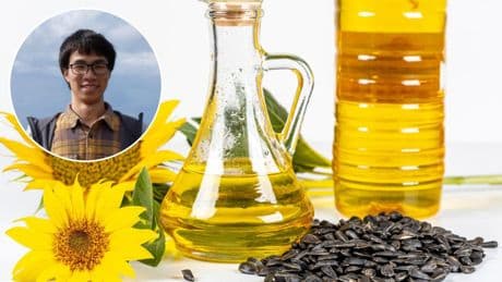 Wang, experto de Harvard, avisa a España: "Tomar aceites con fitoesteroles reduce el colesterol 'malo' y el azúcar en sangre"