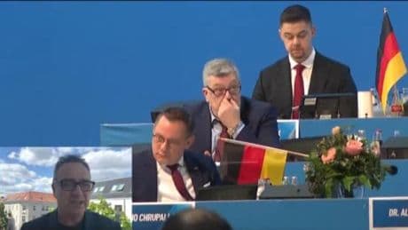 German far-right party sues spy agency over ‘extremist’ label