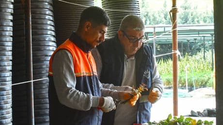 Karabağlar Belediyesi tohumdan üretimle yeşil alanlara hayat veriyor