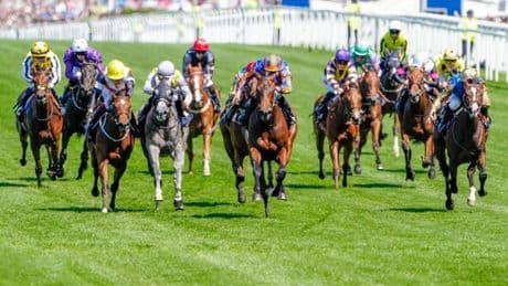 Royal Ascot horse Harry's Girl dies as tragedy strikes in first race of the day