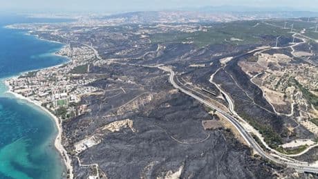 Çanakkale'de acı tablo! Yangından geriye bu manzara kaldı