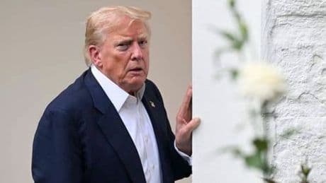 Donald Trump: US-Präsident kippt Zollfreiheit für Importe unter 800 US-Dollar