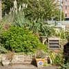 Look at the state of it! Anger of Blue Peter garden creator as he returns to find an overgrown mess