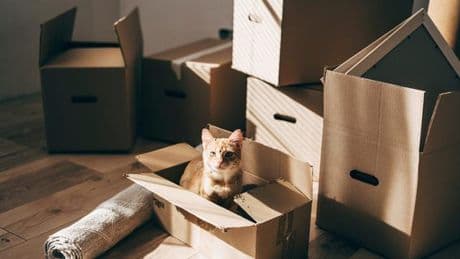 Kündigung wegen Eigenbedarf: Sorry, mein Au-pair braucht die Wohnung!