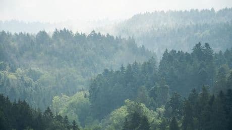 Wetter: Tschüss Grau: Sonnigeres Wetter zur Wochenmitte