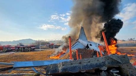 Flugzeug-Crash in Südkorea: Die Hinterbliebenen der Toten wollen die Wahrheit nicht hinnehmen