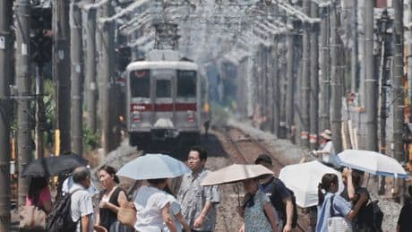 Jusqu'à 41,6°C: le Japon enregistre un nouveau record de température historique