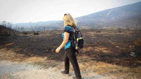 Devastación, cenizas y montes arrasados: así queda el país tras los incendios