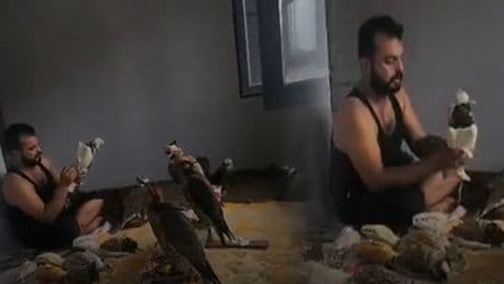 Suriyeli kuş çetesine gözaltı! Türkiye'de avladıkları kuşları Araplara sattıkları ortaya çıktı
