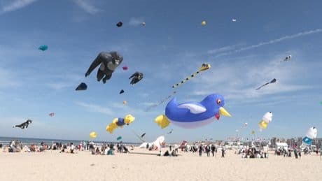 Nord : les images féeriques de centaines de cerfs-volants sur la plage de Berck-sur-Mer