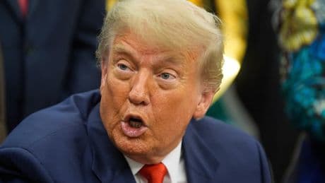 'Insane': Trump's Baffling New Comments On Japan Leave Critics Aghast